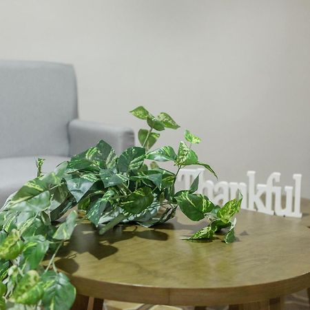 Relax In Style - Roma Norte 3Br - Fast Wifi Meksyk Zewnętrze zdjęcie