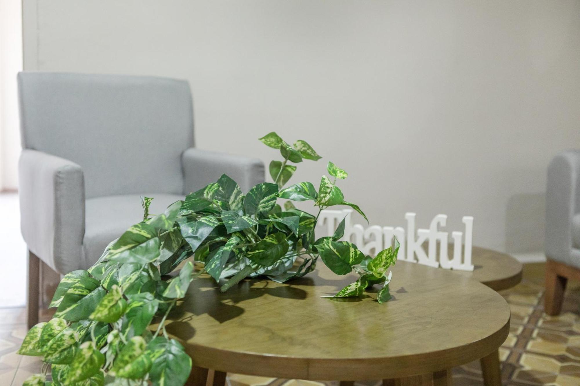 Relax In Style - Roma Norte 3Br - Fast Wifi Meksyk Zewnętrze zdjęcie